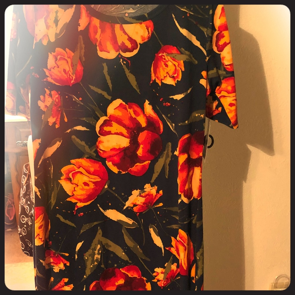 NWT Julia lularoe - perfect condition!